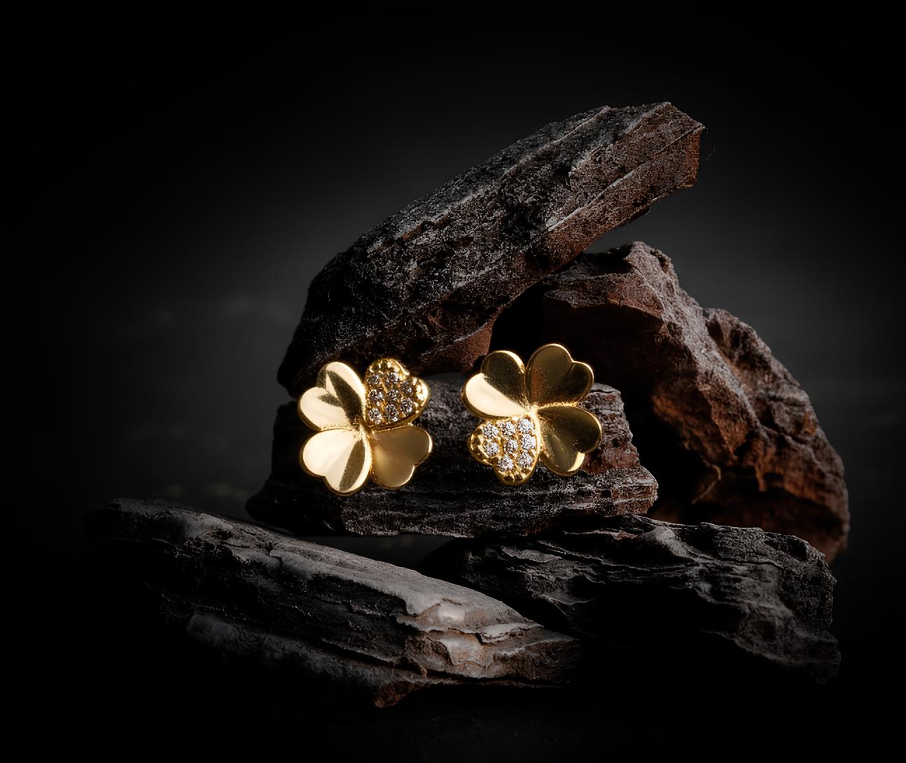 Coppia di orecchini Linea Bonisé