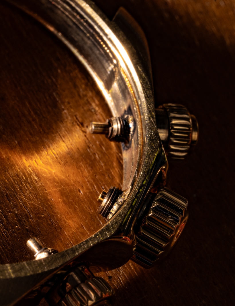 foto dipendenti azienda bovo